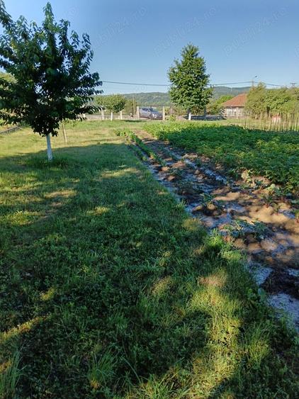 Teren de 2060 mp, în Mănicești
