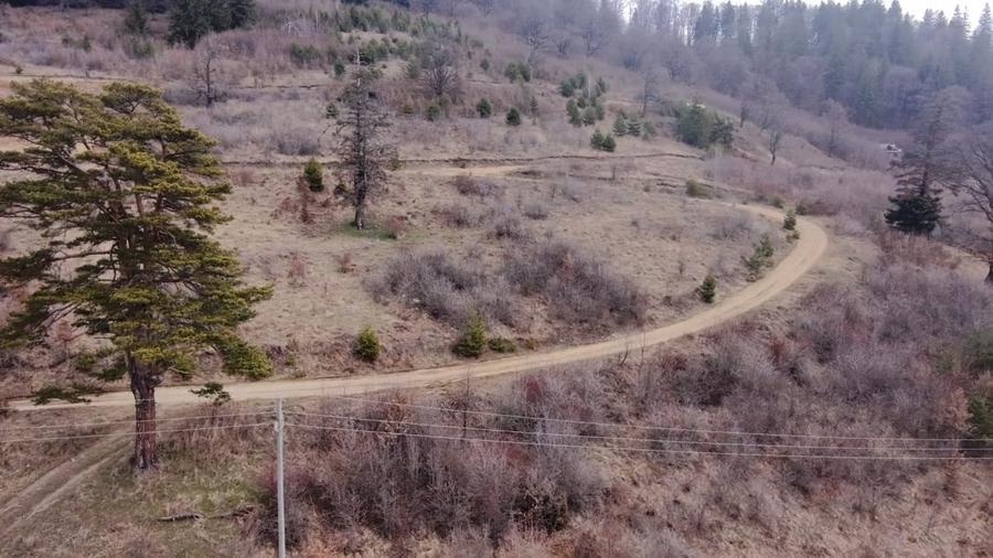 Teren intravilan de 1751 mp, în Scăricica