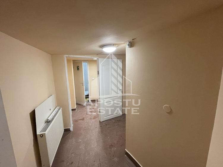 Spațiu comercial, de 284 mp, în Elisabetin