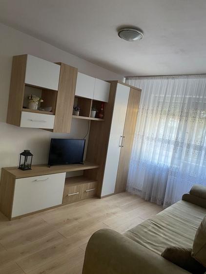 Apartament cu 2 camere în Nufărul