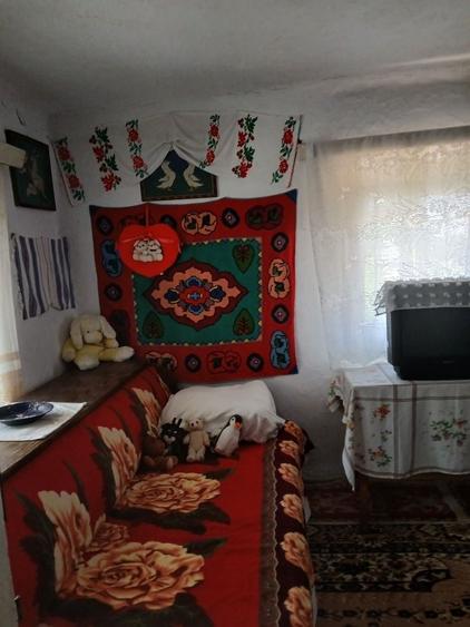 Casă cu 4 camere în Radu Negru
