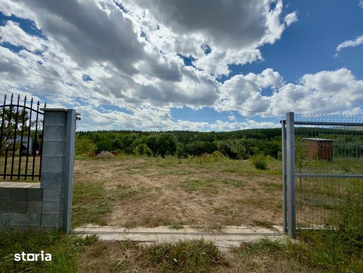 Teren Intravilan 1.137 mp | Savadisla | Utilitati | Panorama Padure - 1