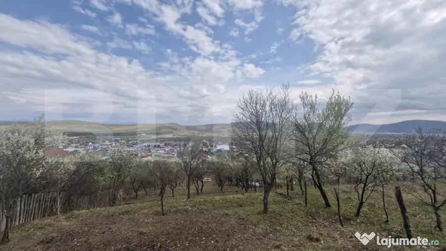 Teren de 2500 mp, în Viișoara