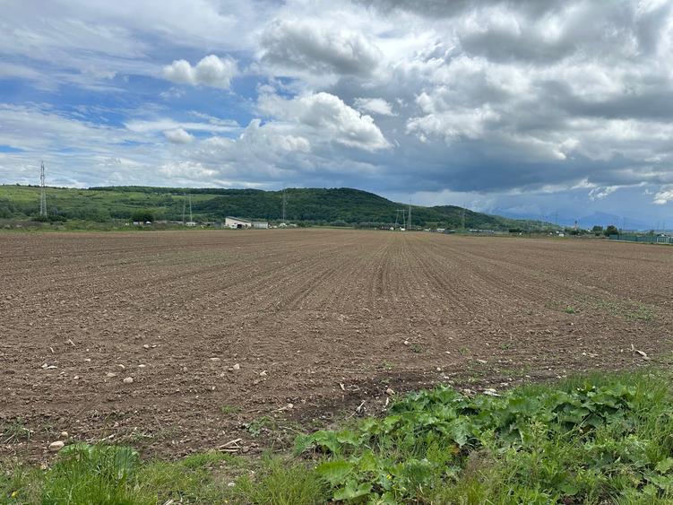 Teren Construcții extravilan de 3240 mp, în Șelimbăr