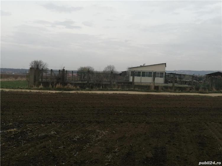 Teren de 8800 mp, în Vinerea