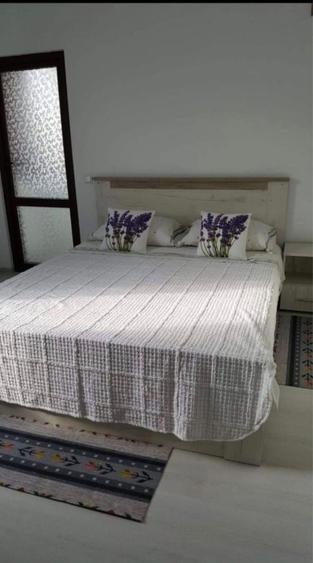 Apartament cu 2 camere decomandat în Moara de foc