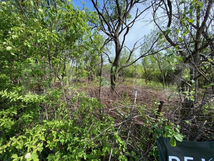 Teren agricol extravilan de 1527 mp, în Exterior Sud