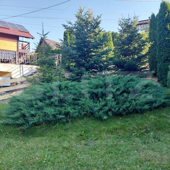 Casă individuală cu 3 camere cu Teren 476 Mp în Vatra Dornei