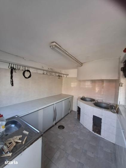 Casă cu 6 camere cu Teren 5766 Mp în Variaș