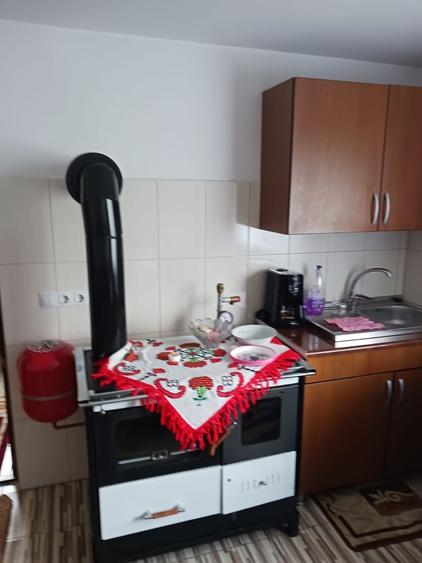Case si teren de vanzare ALBAC, ALBA - 1