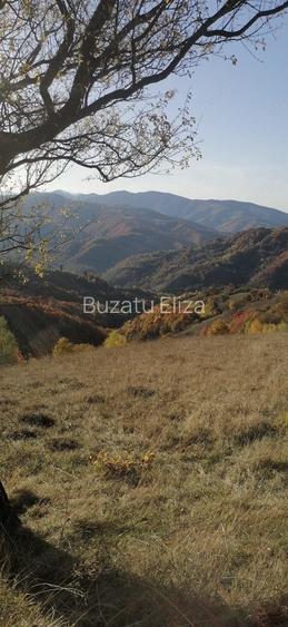 Vand teren extravilan Poiana Marului Brasov