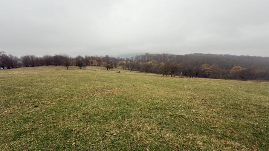 Teren agricol de 35000 mp, în Cisnădioara