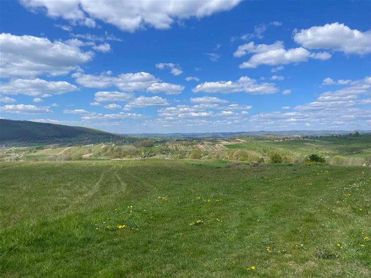 TEREN | BALNACA | 6301MP | BIHOR - 1