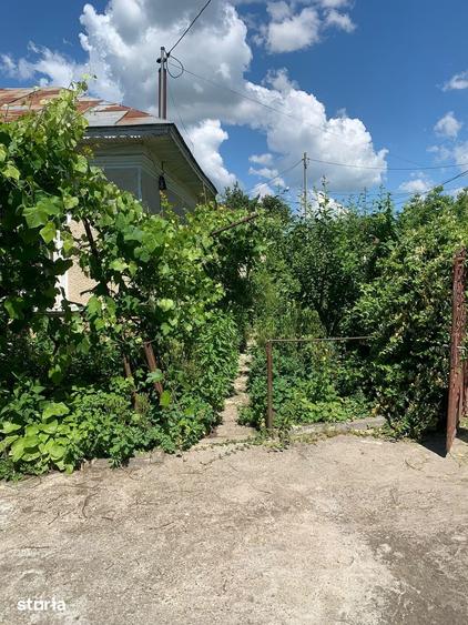 casa si teren de vanzare ,comuna nana,judetul calarasi - 10