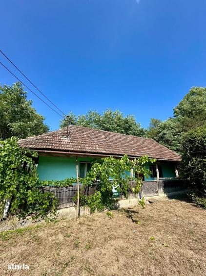 Casa rustica cu teren de 935 mp, front stradal mare Mintiu Gherlii - 5