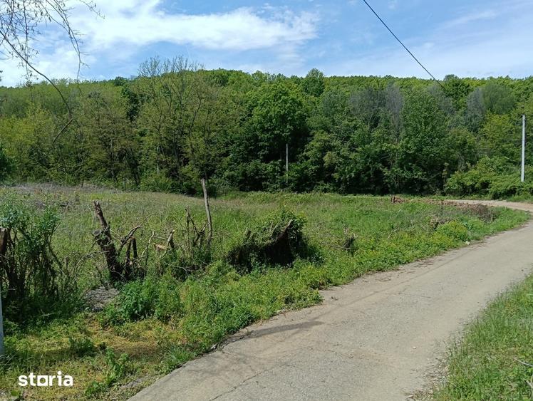 Teren de 1807 mp, în Cocorăștii Mislii