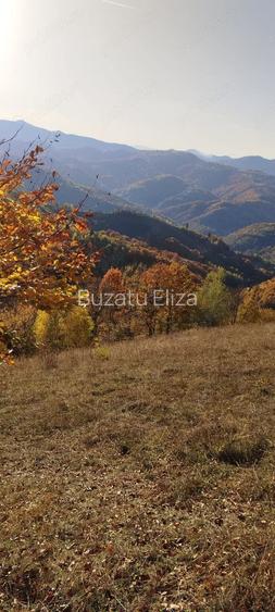 Vand teren extravilan Poiana Marului Brasov