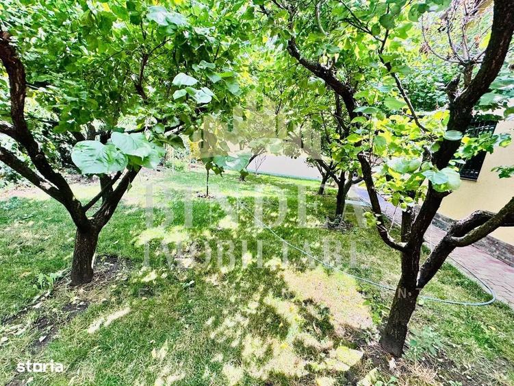 Casă cu 4 camere cu Teren 1491 Mp în Remetea Mică