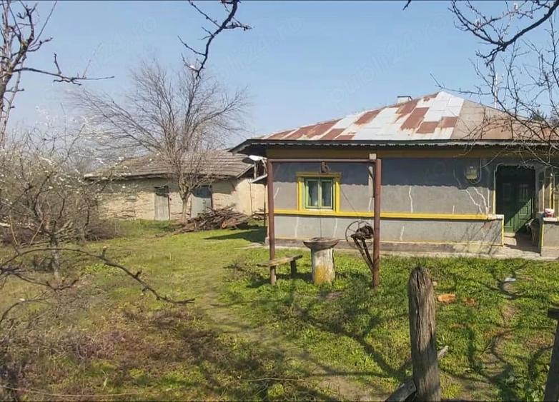 Teren de 7700 mp, în Letca Veche