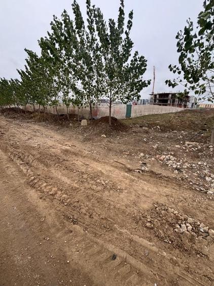 Teren Construcții intravilan de 6000 mp, în Theodor Pallady