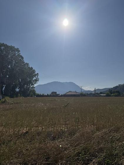 Teren de 1150 mp, în Tohanu Nou