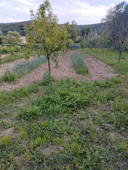 Casă cu 3 camere în Dragu