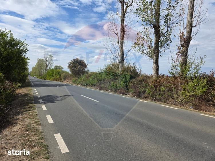 Teren de 5000 mp, în Ciolpani