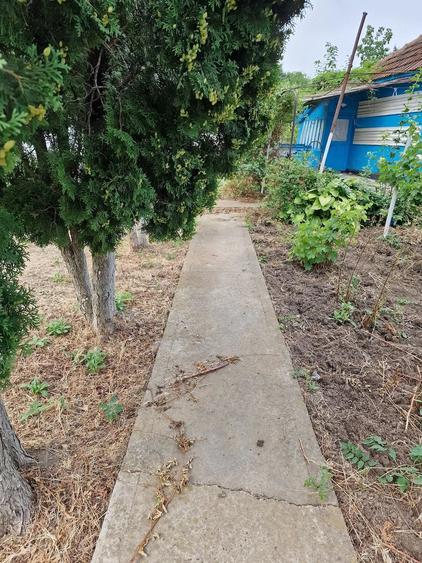 Casă cu 2 camere cu Teren 900 Mp în Cozia
