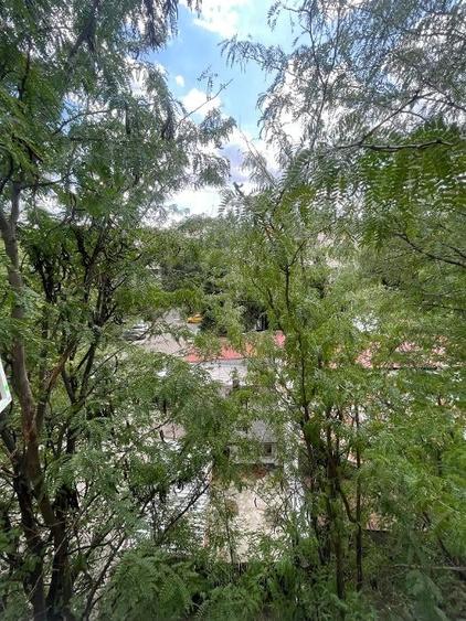 Apartament 2 camere Basarabia-Piata Muncii, 50mp, et 4, vedere spate catre parc - 9