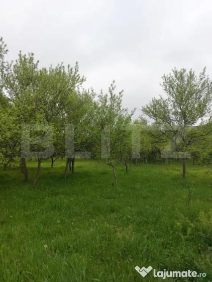Teren în Brănișca