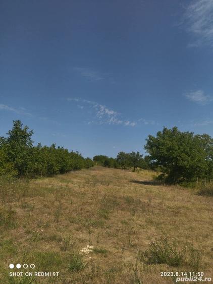 Teren de 3400 mp, în Daia