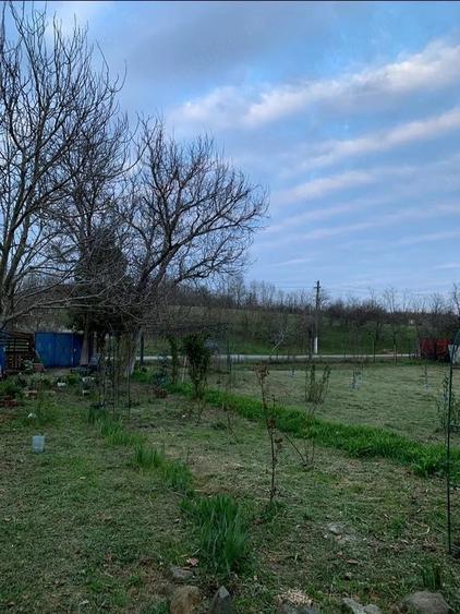 Casă cu 2 camere cu Teren 1242 Mp în Teș