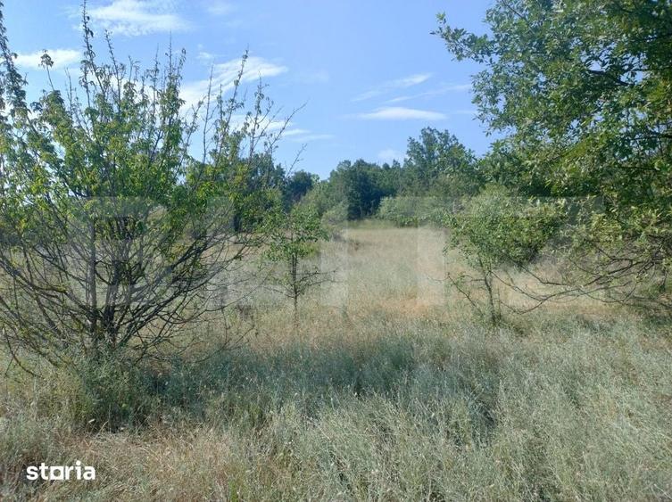 Casă cu 5 camere cu Teren 3400 Mp în Bucovăț