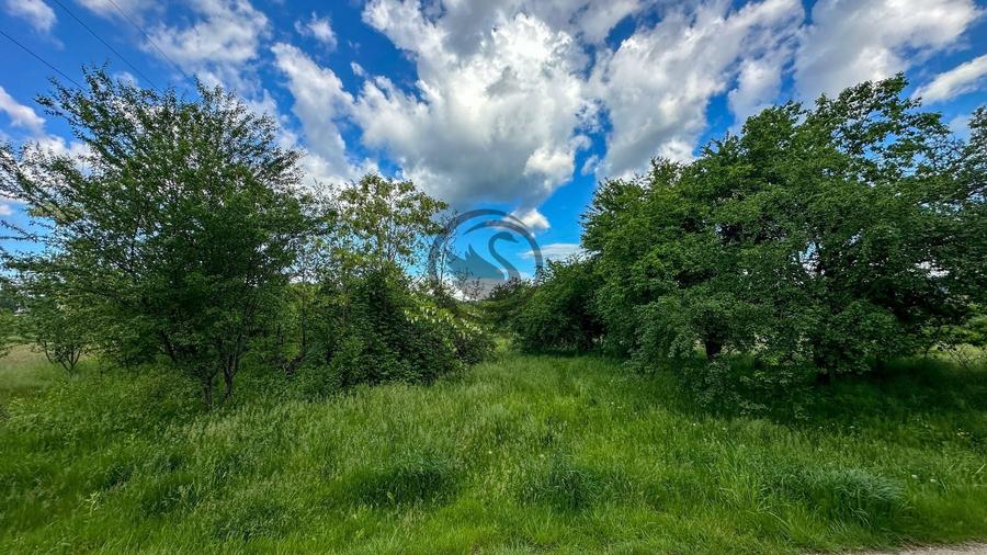 Teren agricol intravilan de 3600 mp, în Gura Vitioarei