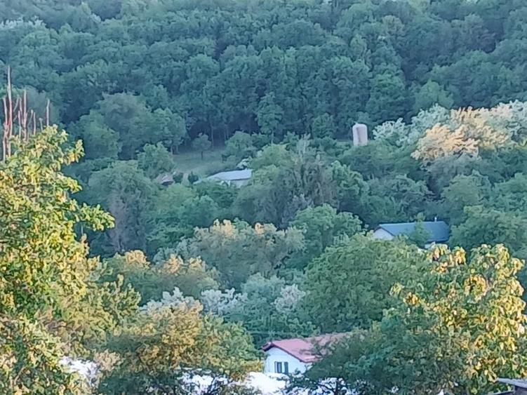 Teren de 1800 mp, în Bădeni