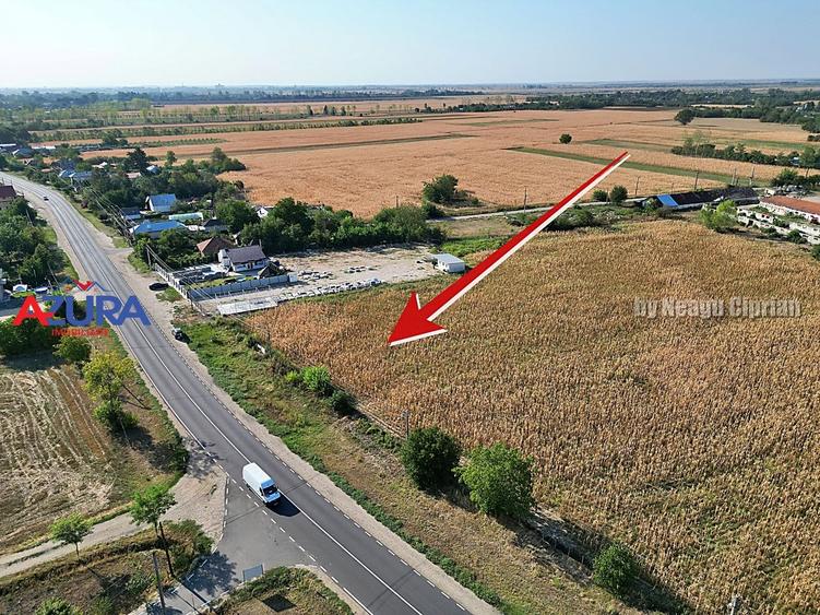 Teren Construcții intravilan de 7976 mp, în Crângurile