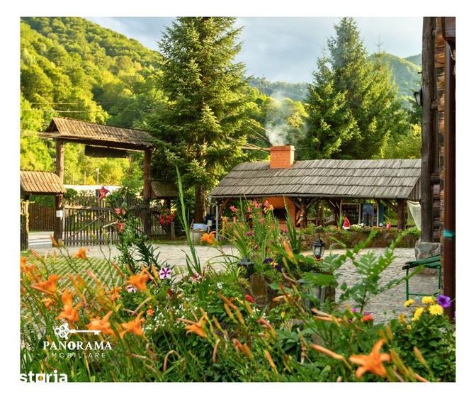 Casă cu Teren 29337 Mp în Râu Sadului