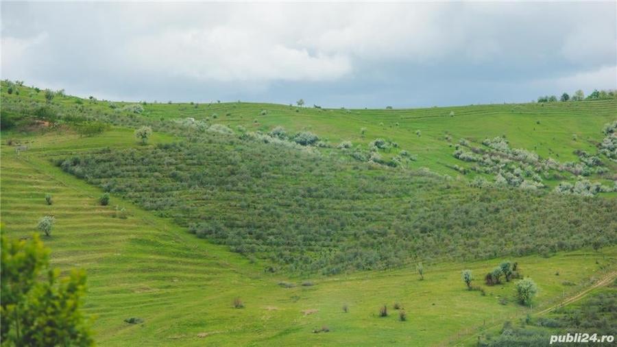 Teren de 20000 mp, în Vadu Săpat