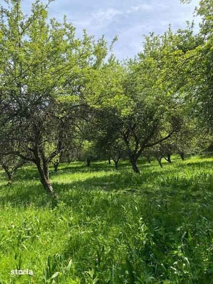 Teren de 27000 mp, în Moldovenești