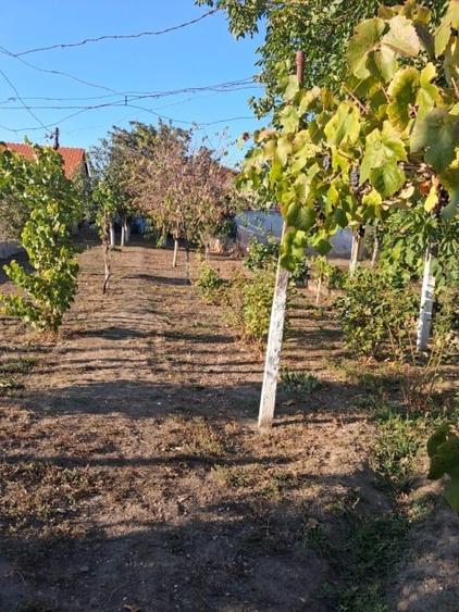 Casă individuală cu 3 camere cu Garaj în Zădăreni