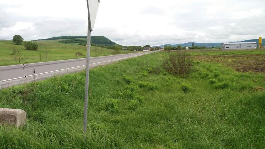 Teren agricol extravilan de 19000 mp, în Sud
