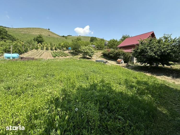 Casă cu 3 camere cu Teren 3500 Mp în Târnăveni