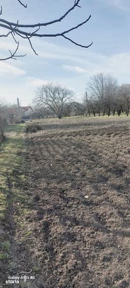 Teren de 1460 mp, în Dascălu