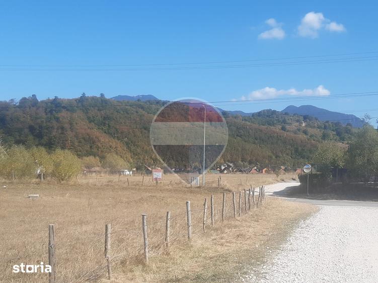 Teren de 7150 mp, în Sud