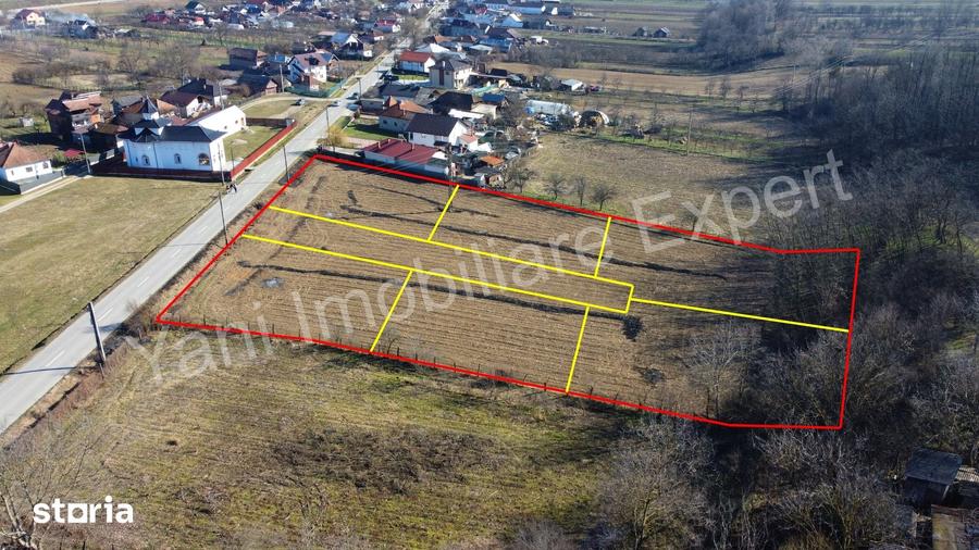 Teren de 5600 mp, în Băiculești