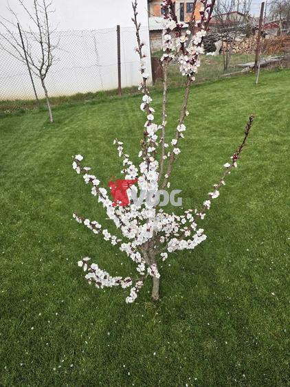 Casă cu 5 camere cu Teren 1171 Mp în Vest
