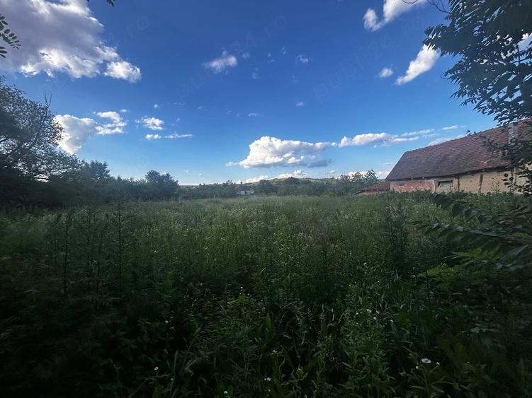 Teren de 2970 mp, în Tauț