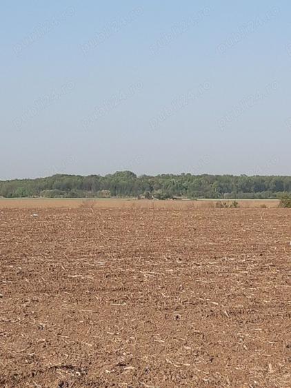 Teren de 4850 mp, în Dobreni