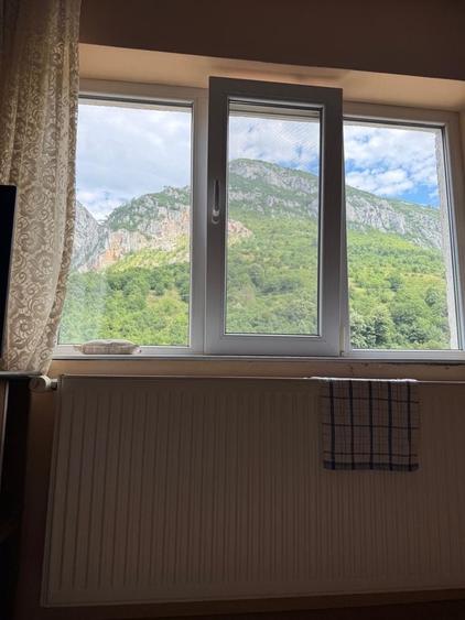 Apartament 1 camera Baile- Herculane - 12