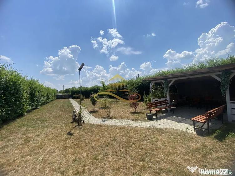 Teren în Șerbănești